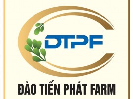 TÁC DỤNG CỦA TRÀ HOA HÒE ĐÀO TIẾN PHÁT FARM