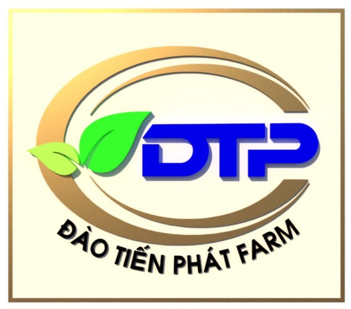 Đào Tiến Phát Gia Lai